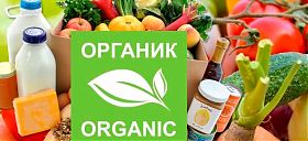 Экологически чистые продукты: что это такое и где это найти